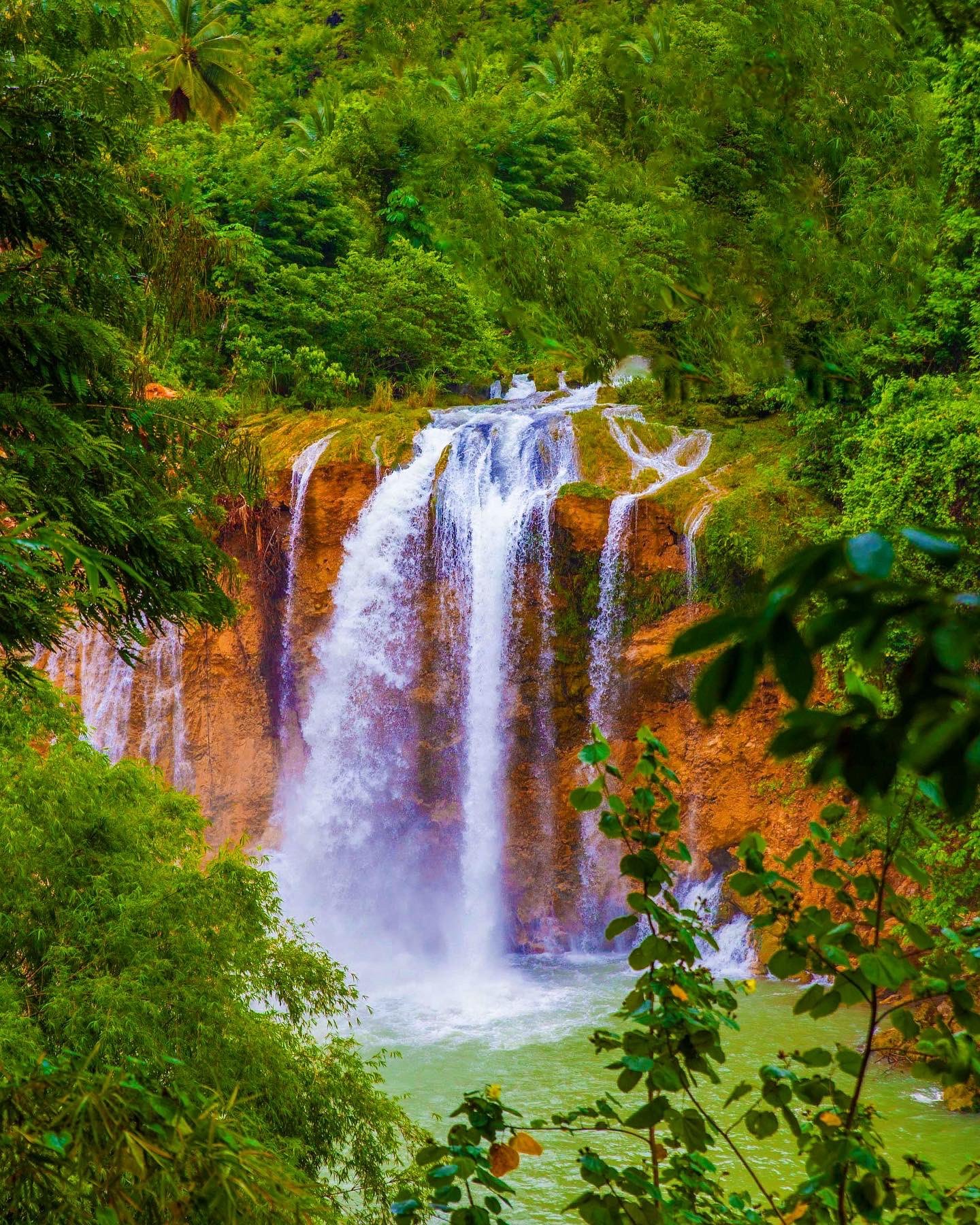 Haïti : Flore et Faune